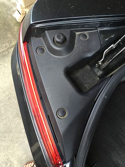 trunk6