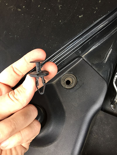 trunk7
