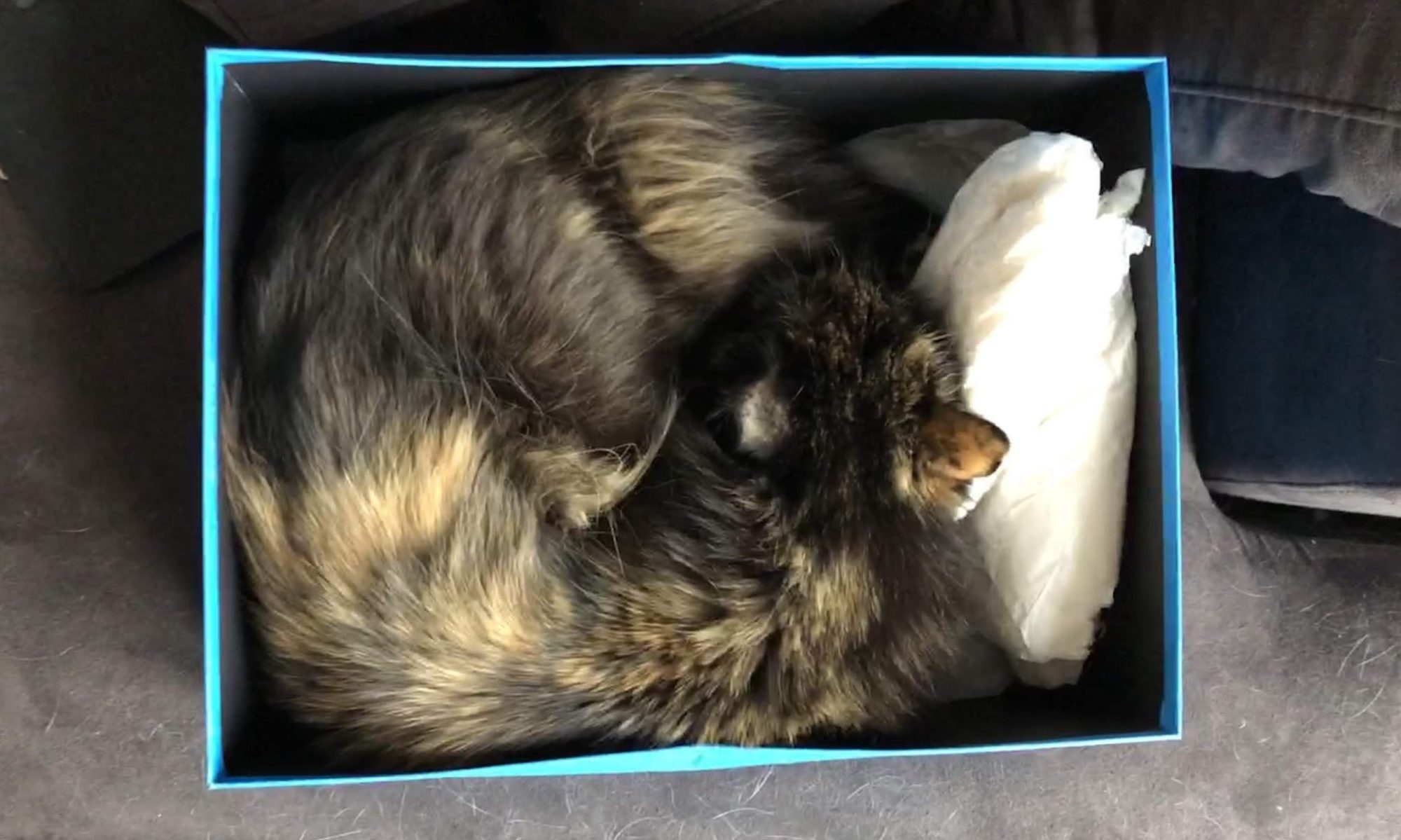 Clare Bayley – A personal website and blog.